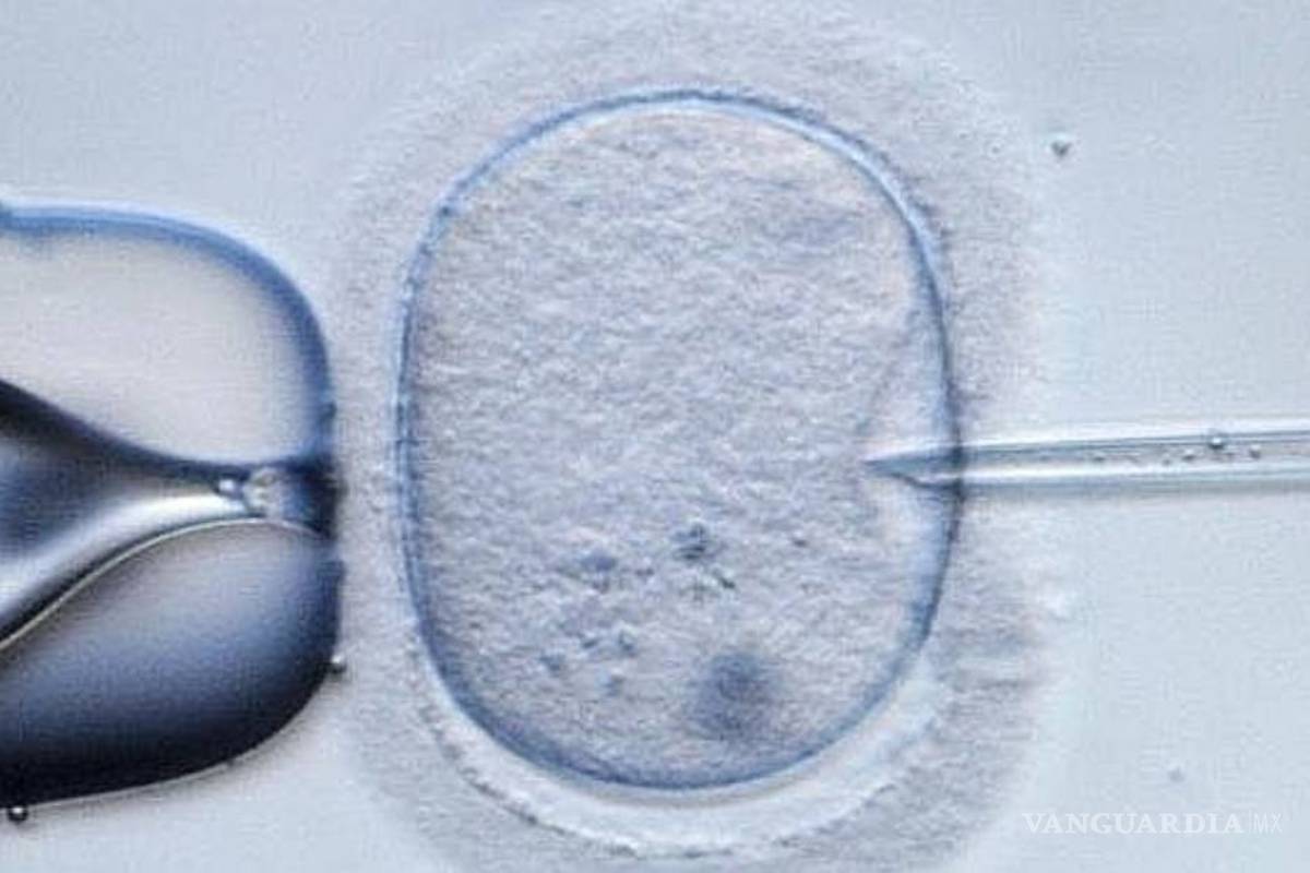 Es ético ensayar con embriones de 3 personas