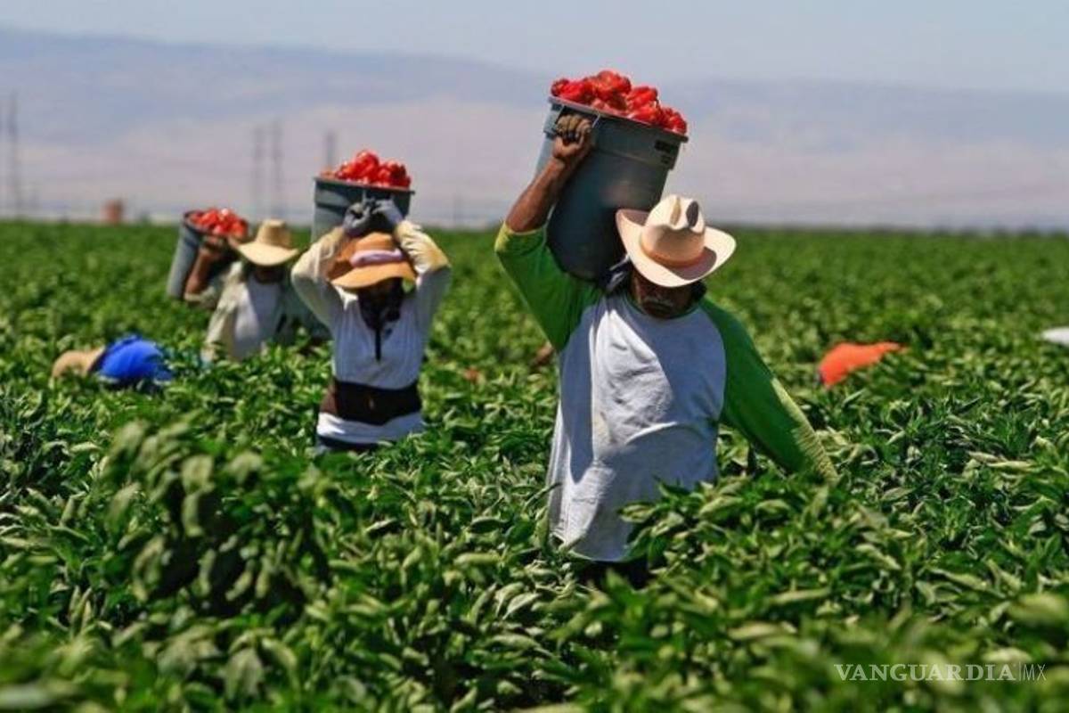 Detectan en Canadá a 19 trabajadores agrícolas mexicanos con COVID-19