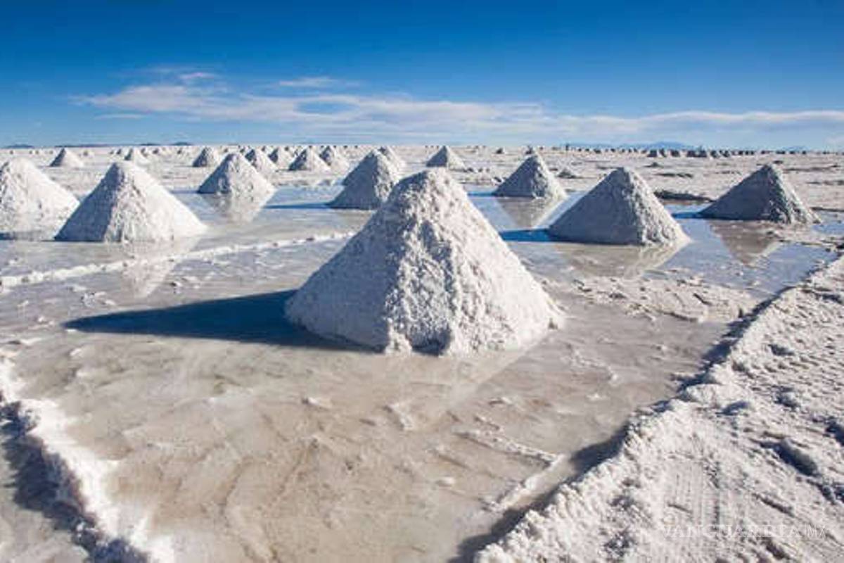Oro blanco... México busca ser líder en la producción de Litio