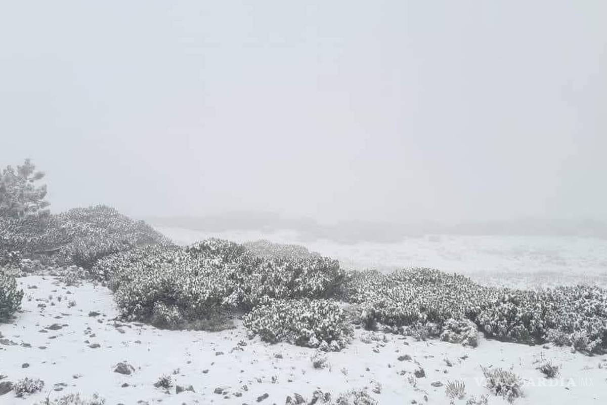 $!Otra vez sur de Nuevo León se tiñe de blanco por caída de aguanieve