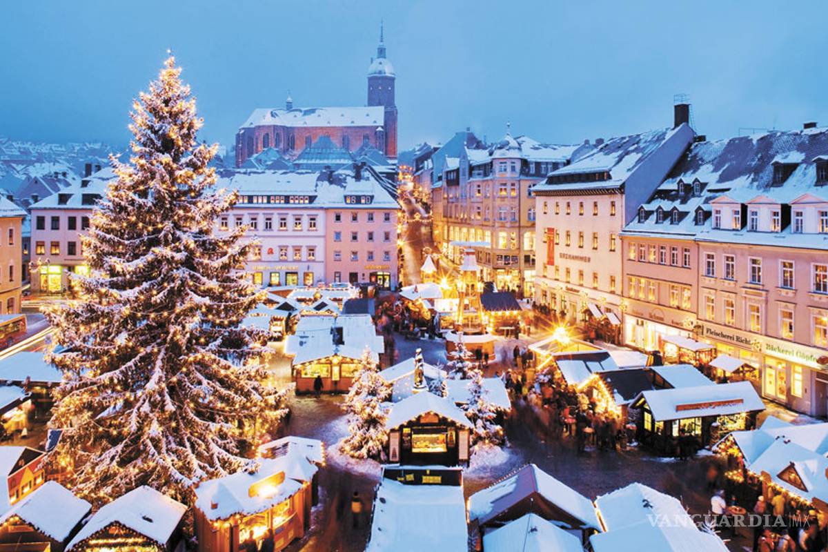 El árbol de Navidad, la estrella de las fiestas