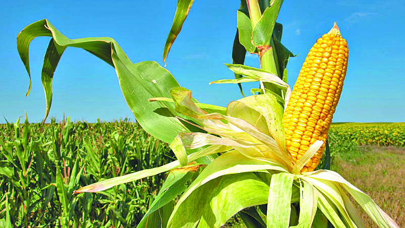 Productores del campo amagan con protestas en oficinas de Sagarpa en Saltillo