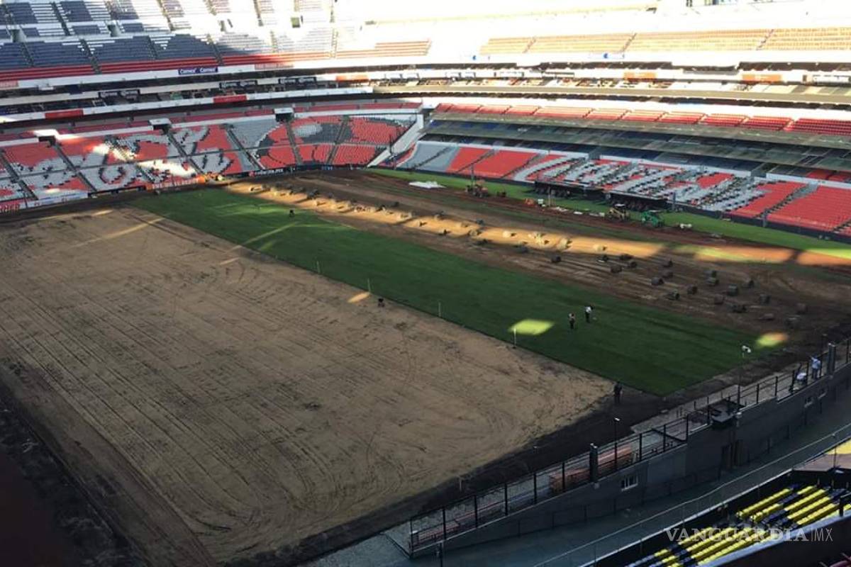 El Azteca olvida pasto híbrido y vuelve al natural... inician cambio de césped