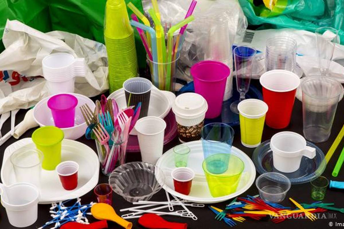 ‘Prohibición de plásticos será ecocidio’