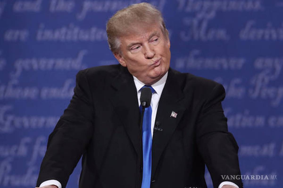 Crean robot que ayuda combatir el maltrato animal cada vez que Trump tuitea