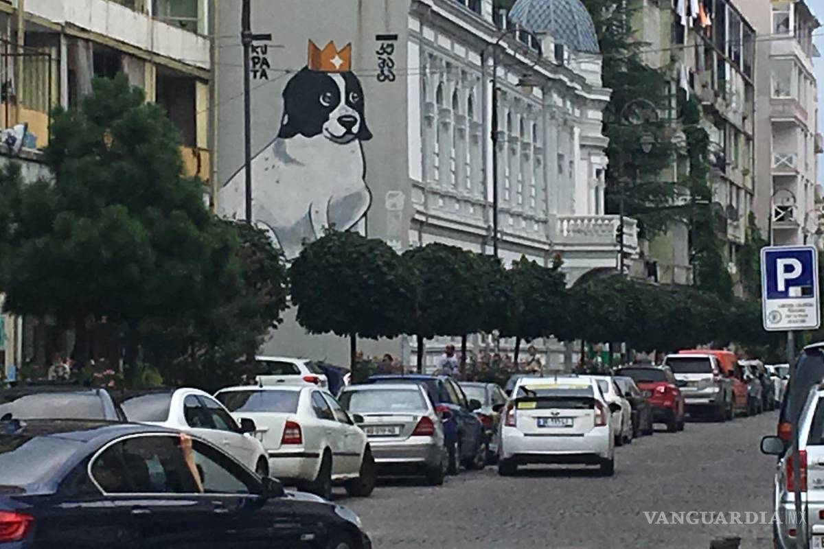 $!Un grafiti del perro Kupata, una estrella en Batumi después de que se hiciera viral un vídeo en el que ayuda a unos niños a cruzar la calle. EFE/Misha Vignanski