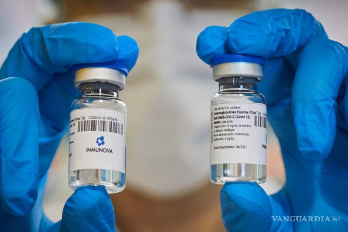 Cofepris aprueba usar suero equino para tratar a pacientes con COVID-19