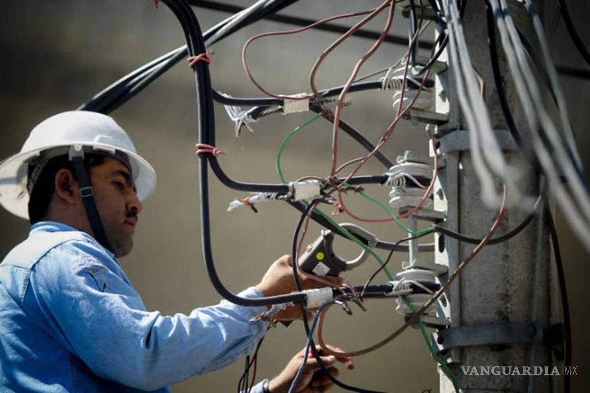 CFE y Siemens buscan instalar redes eléctricas inteligentes con tecnología europea