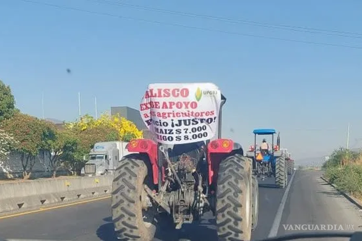 $!Piden que establezcan precios de garantía de 8 mil pesos por tonelada de trigo, 7 mil por la de maíz y 6 mil 500 pesos por la de sorgo