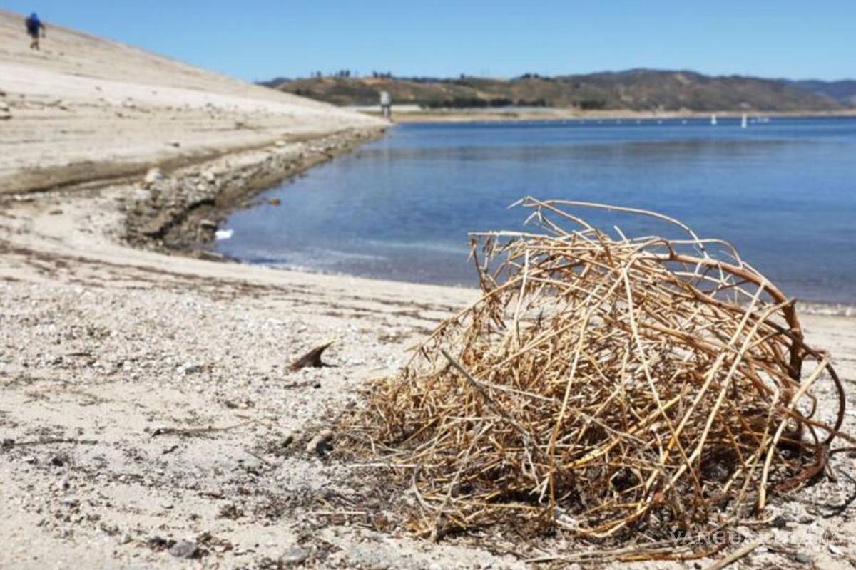 ¿México sin agua?... estas son las presas que se han quedado completamente sin agua y en qué estados se encuentran