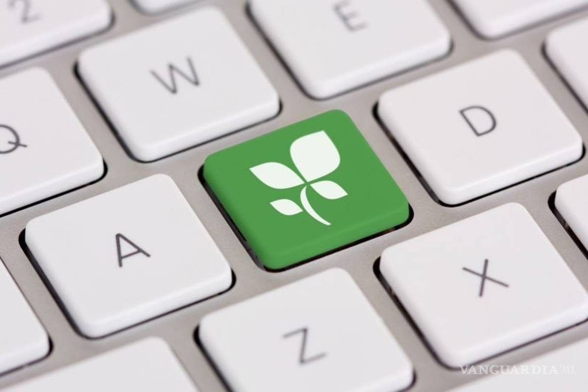 Llegan a Ramos la Oficina Verde