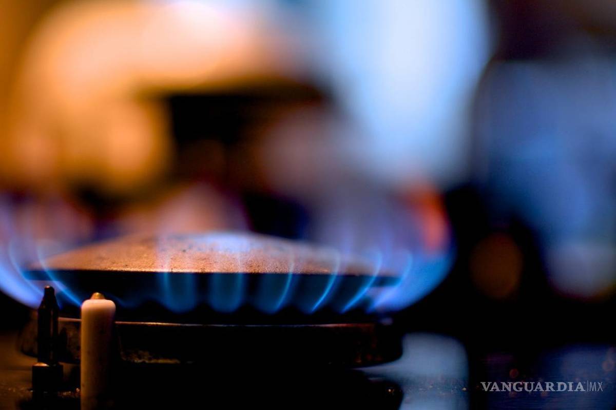 Naturgy lanza app para pagos