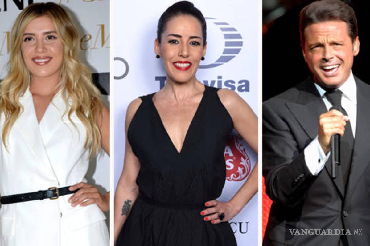 $!'La relación de Luis Miguel y Erika Camil no fue tan pasional, siempre traían cara de enfado': Claudia de Icaza