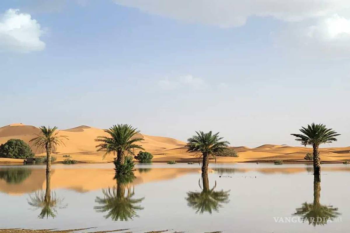 Tras lluvias torrenciales, desierto del Sahara registra inundaciones por primera vez en 50 años