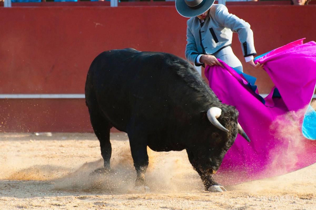 Tribunal Superior de Justicia de Coahuila determinará si prohibir corridas de toros es inconstitucional