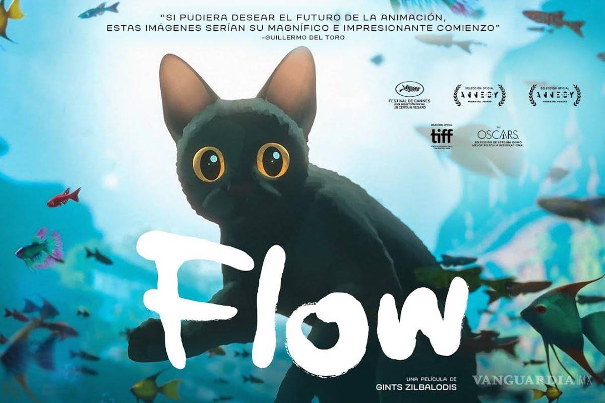 Flow se proyectará gratis al Zócalo de CDMX por el Día del Niño: fecha y horario