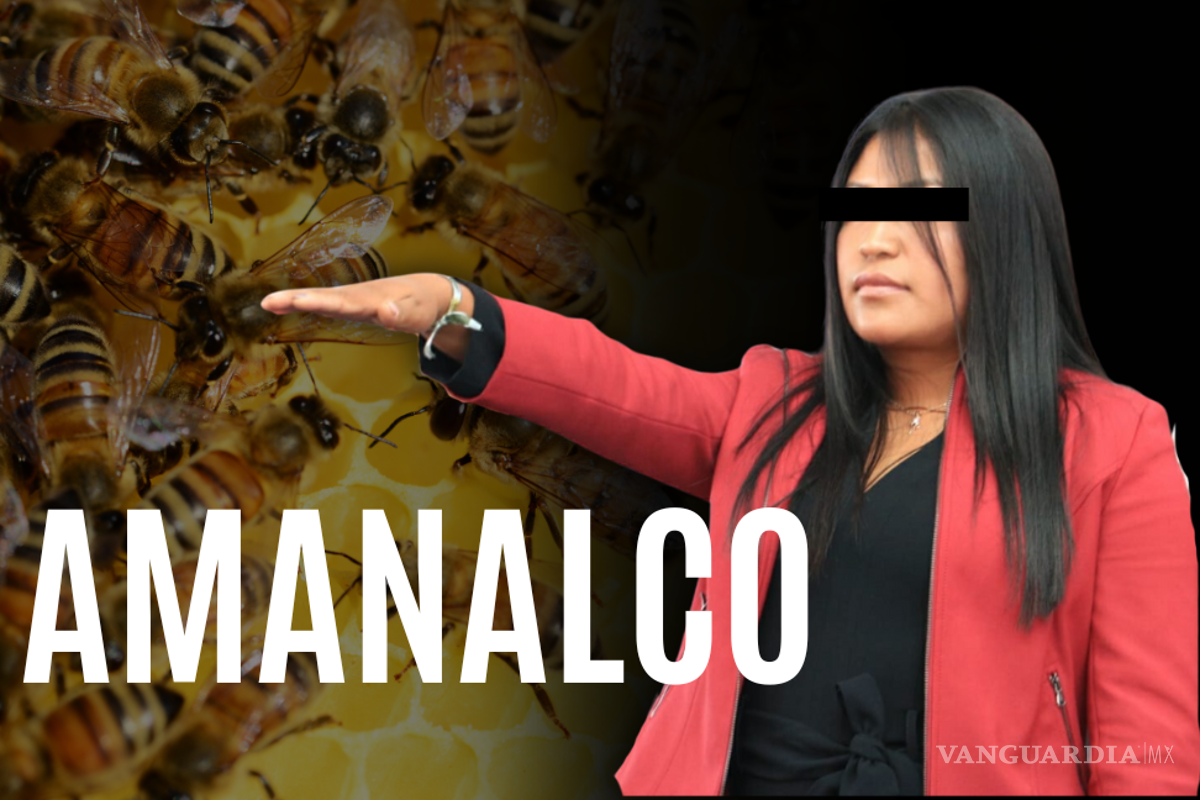 Operación Enjambre: Cabildo de Amanalco entregaba la mitad del presupuesto anual y pagaba por acuerdo hasta 100 mil pesos a La Familia Michoacana