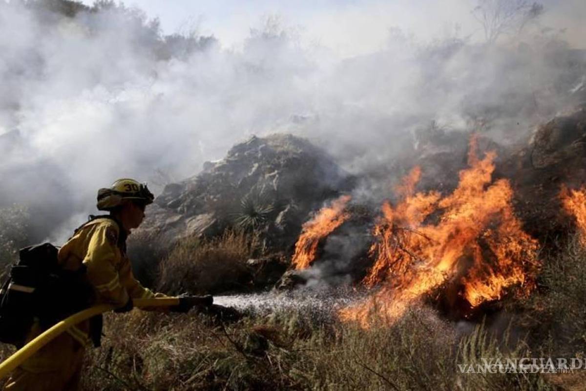 Entre 2015 y 2022 se registraron 618 incendios forestales en Coahuila