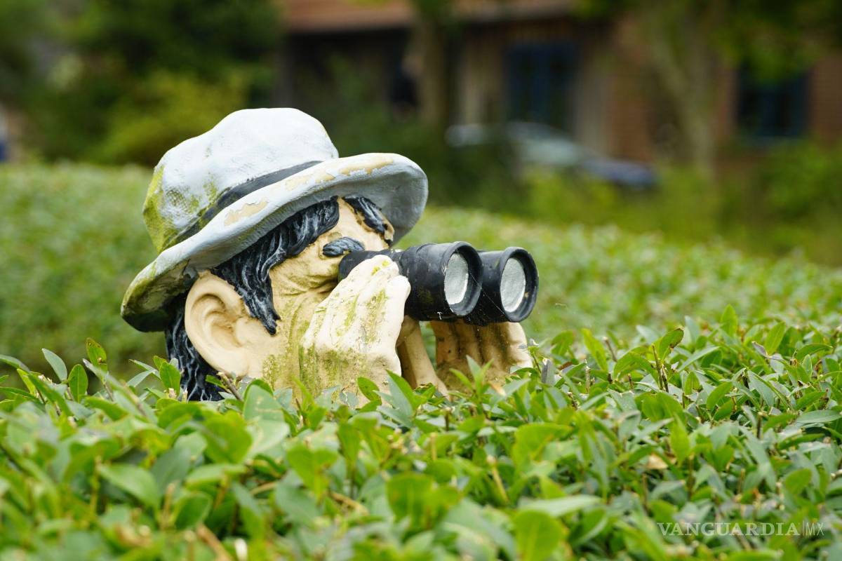 Buscan tipificar el acecho como delito en Coahuila