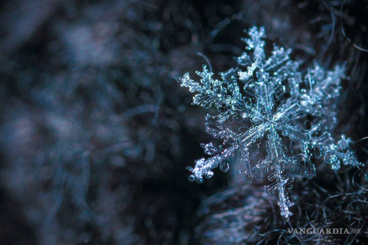 Navidad 2022: destapa frío en Saltillo mendicidad y violencia de género