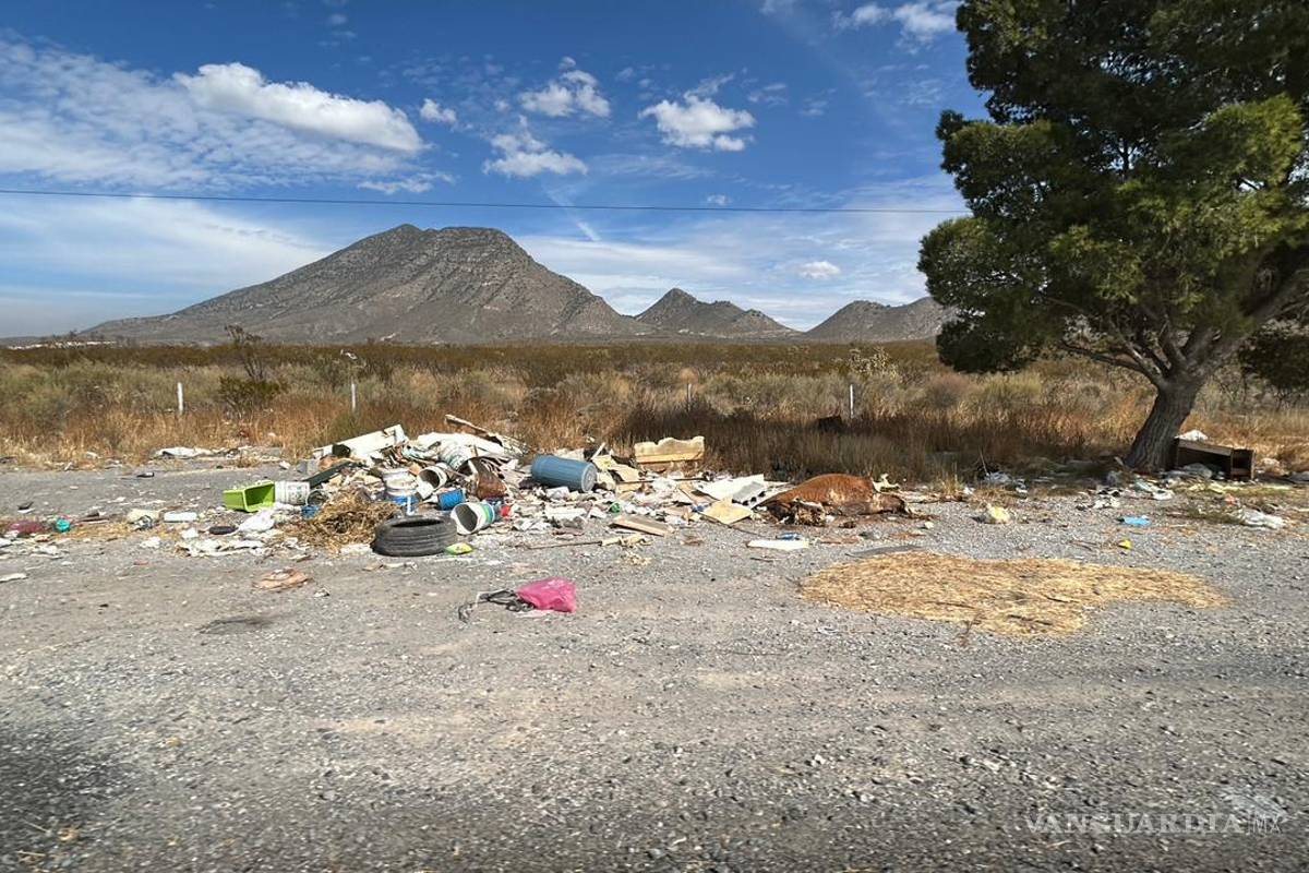 Saltillo: Visitantes dejan basurero clandestino (llantas, colchones, restos animales) en Zapalinamé