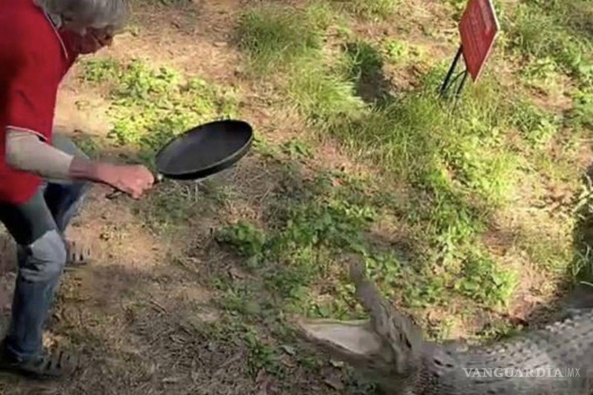 ¡A sartenazos! Hombre se defiende del ataque de un cocodrilo y se vuelve viral (video)