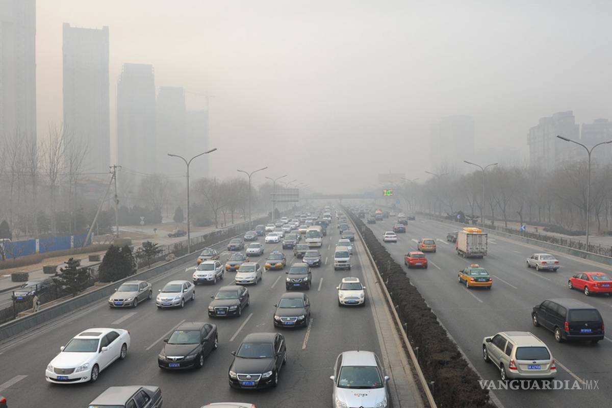 Contaminación provoca más de 30 enfermedades: INER