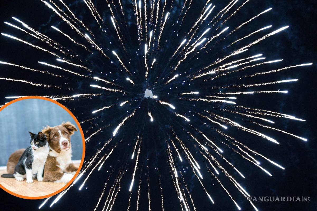 Preparan activistas iniciativa para prohibir venta y quema de cohetes en Coahuila