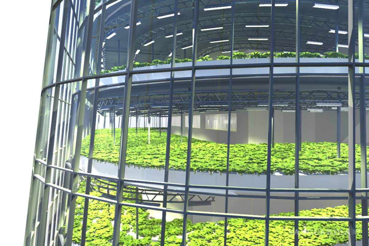 Agroedificios, huertos urbanos que alimentan a la población