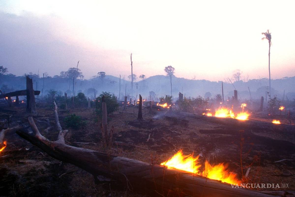 Jair Bolsonaro ordena a fuerzas armadas combatir incendios en Amazonas