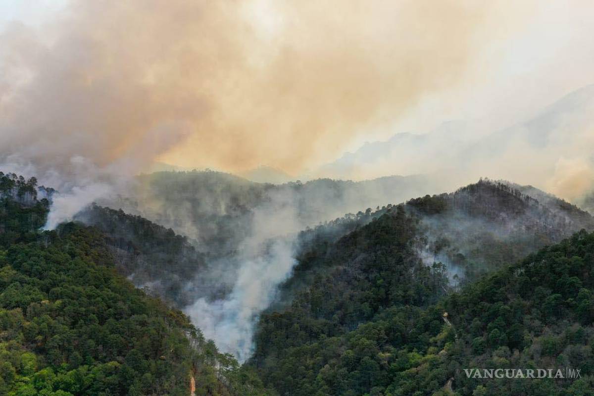 Continúan en alerta autoridades de Arteaga por incendio en Santiago; habría cobrado fuerza