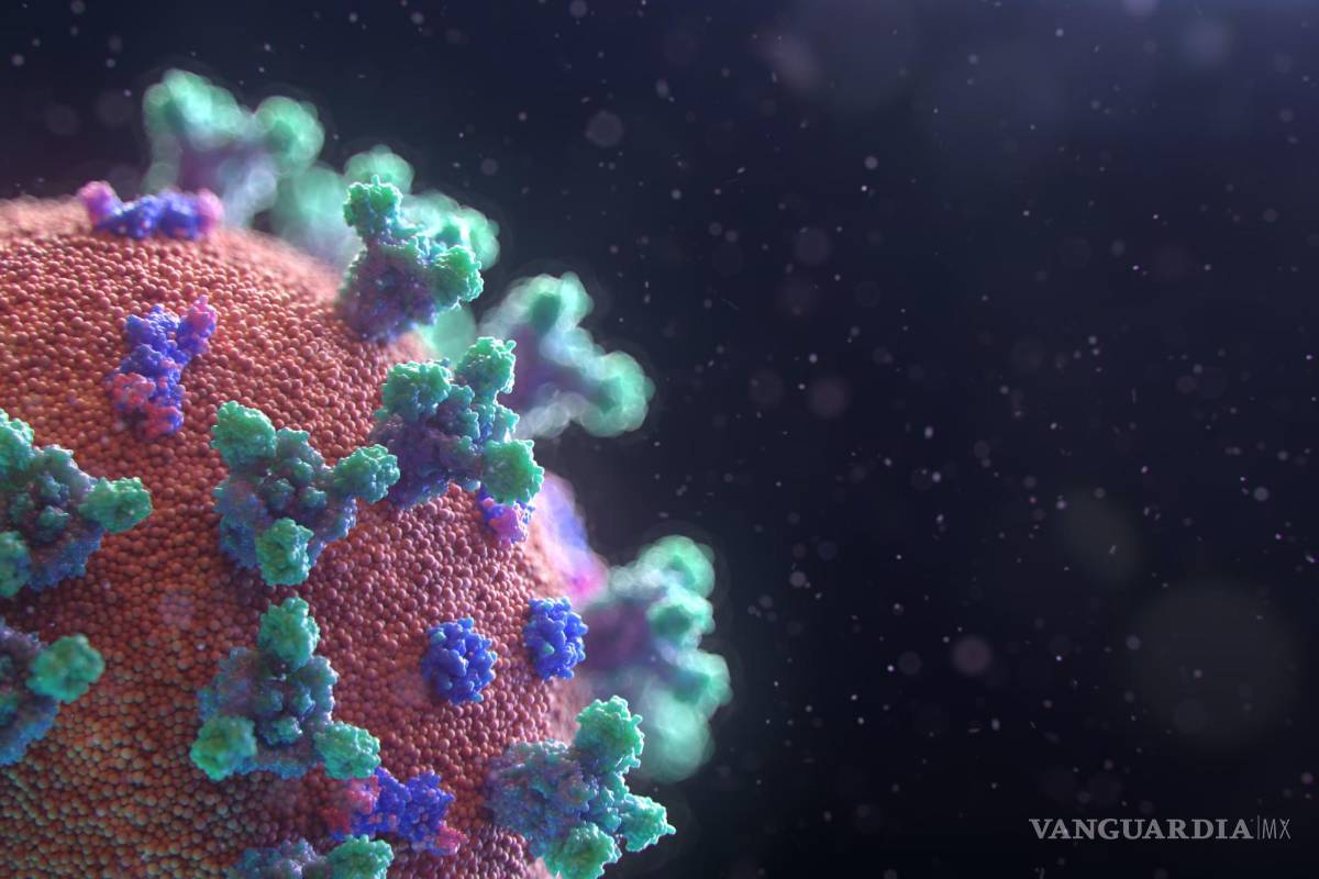 Alertan por nuevos síntomas de la Variante JN.1 del COVID-19; conoce las precauciones que debes tomar