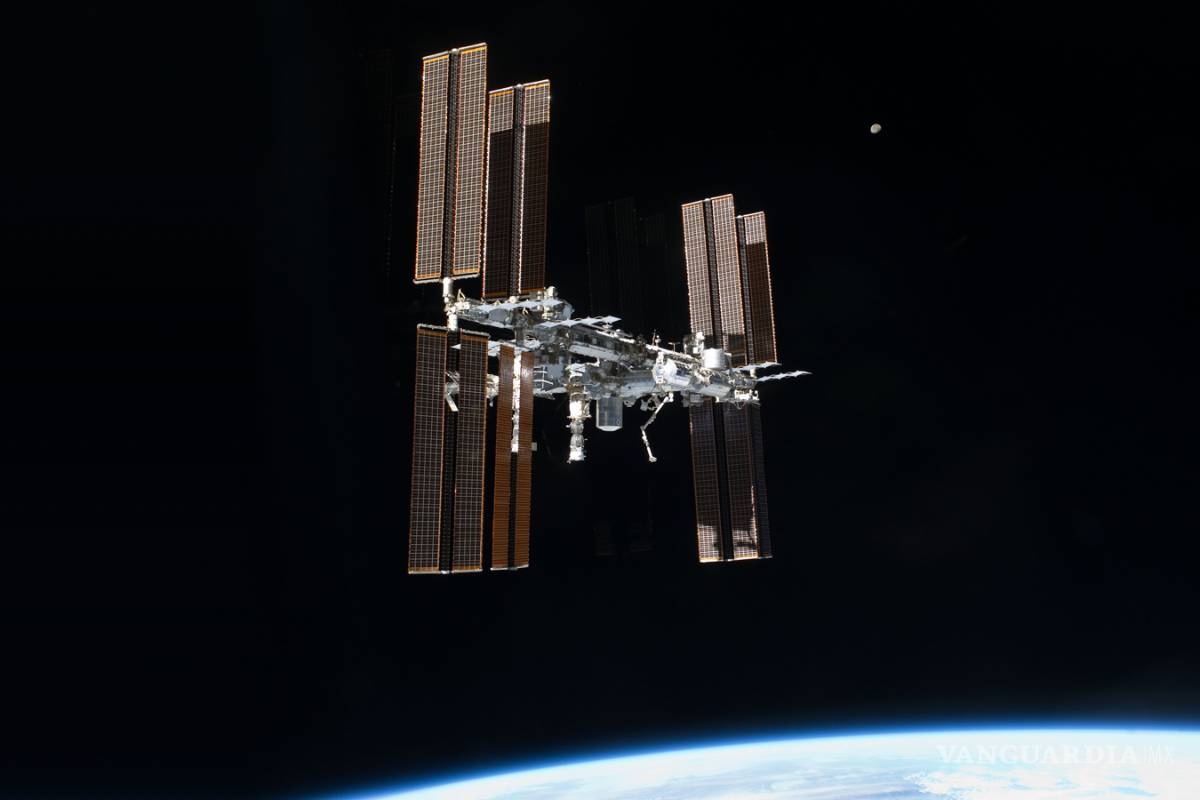 Bacterias de la EEI se parecen a las de los hogares en la Tierra