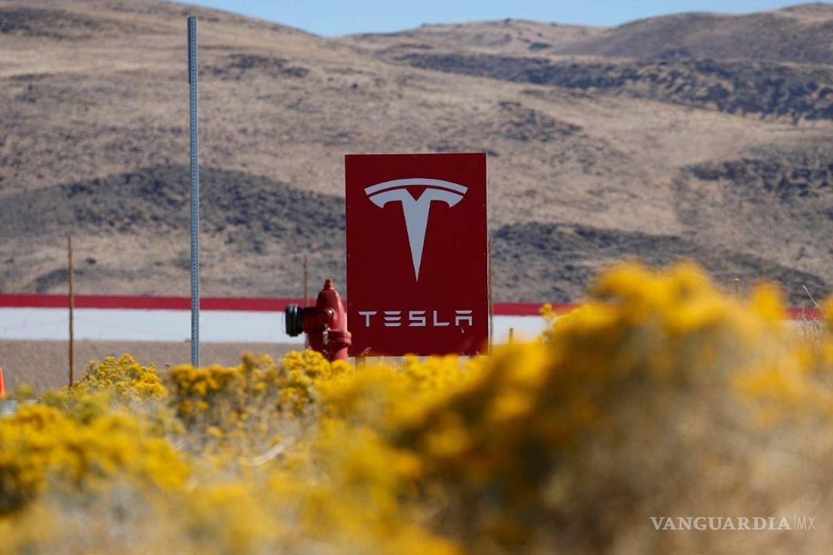 Solicita Tesla permisos ambientales para construir su nave en NL