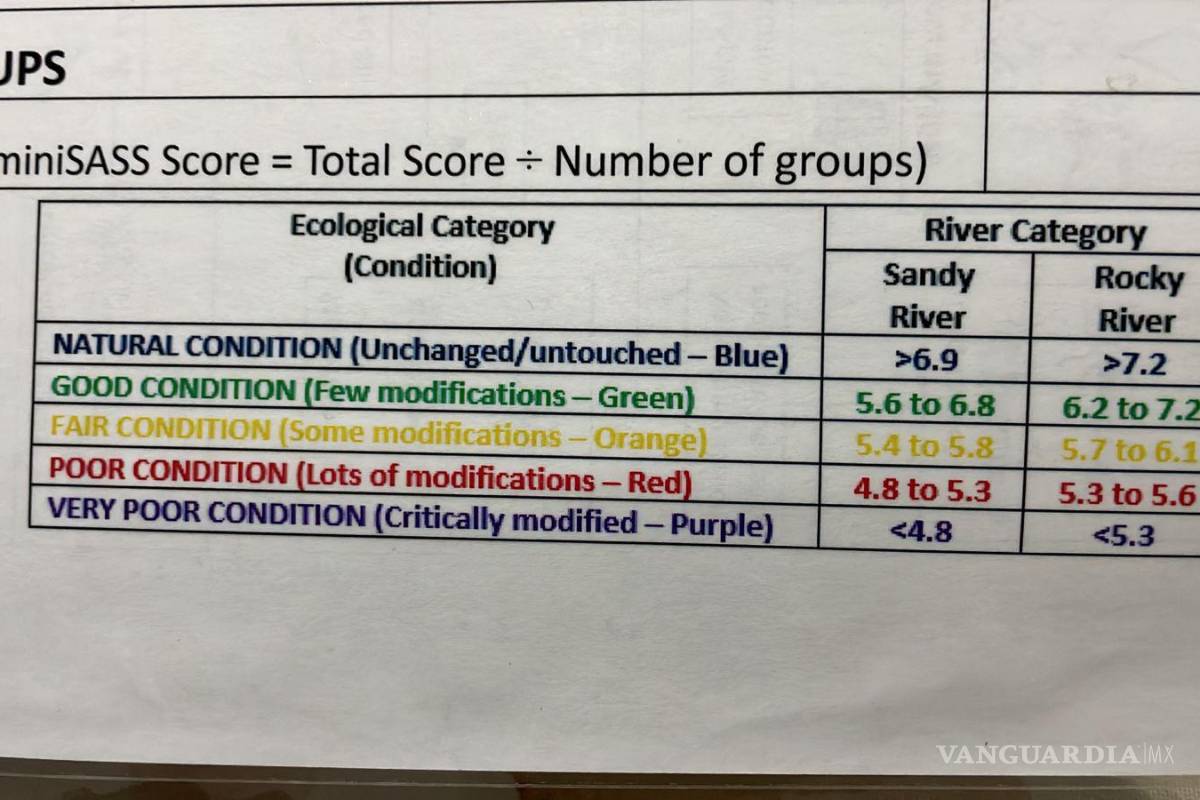 Alto grado de contaminación del Pozo Azul vuelve letal entorno para Carpita de Saltillo