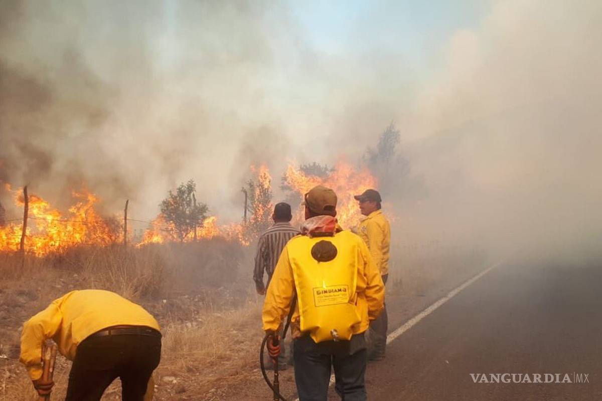 $!¡Ahora fue un corto! Fuego afecta 600 hectáreas en Arteaga