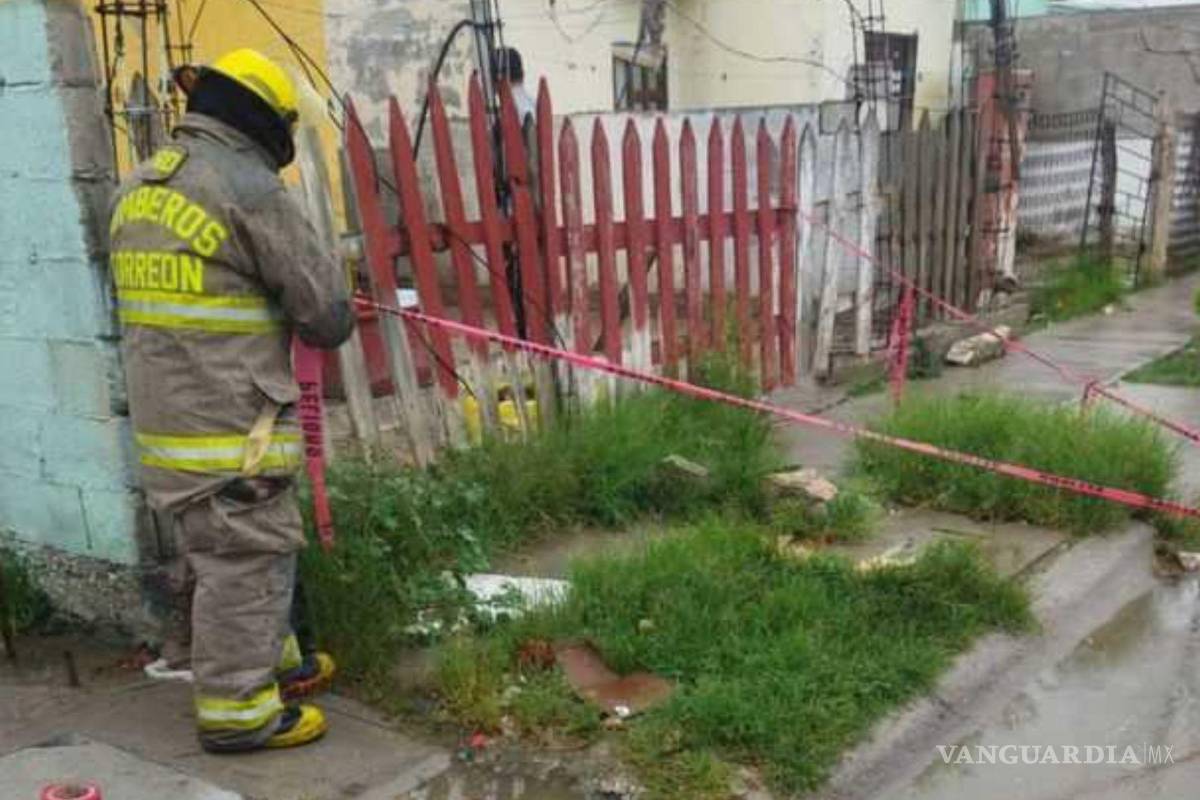 Muere perrito electrocutado al tocar unos cables expuestos en Torreón