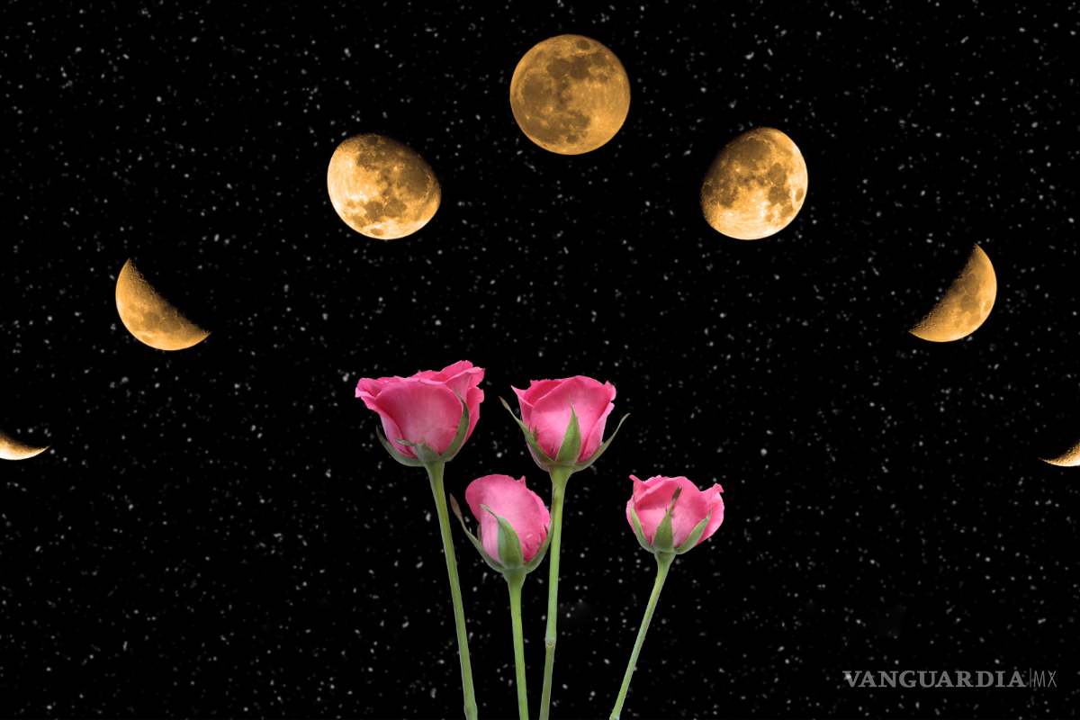 ¿Qué es la luna de las flores? Este es el calendario lunar de mayo 2024