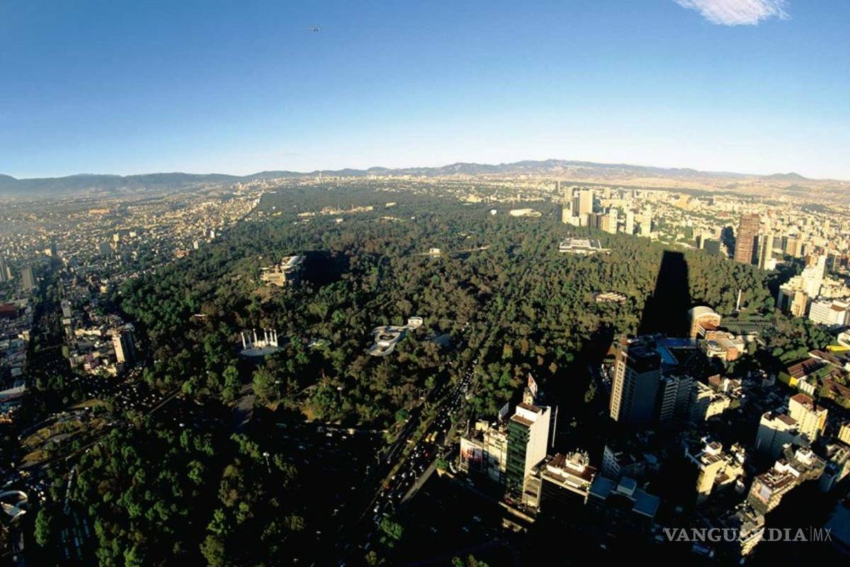 Investigan hallazgo de cuerpo de bebé en Bosque de Chapultepec