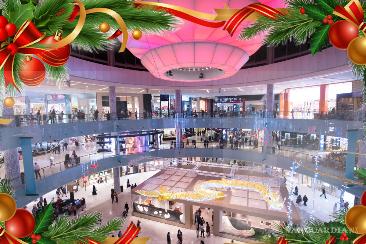 Profeco: mejores tips de diciembre de la Revista del Consumidor 2025