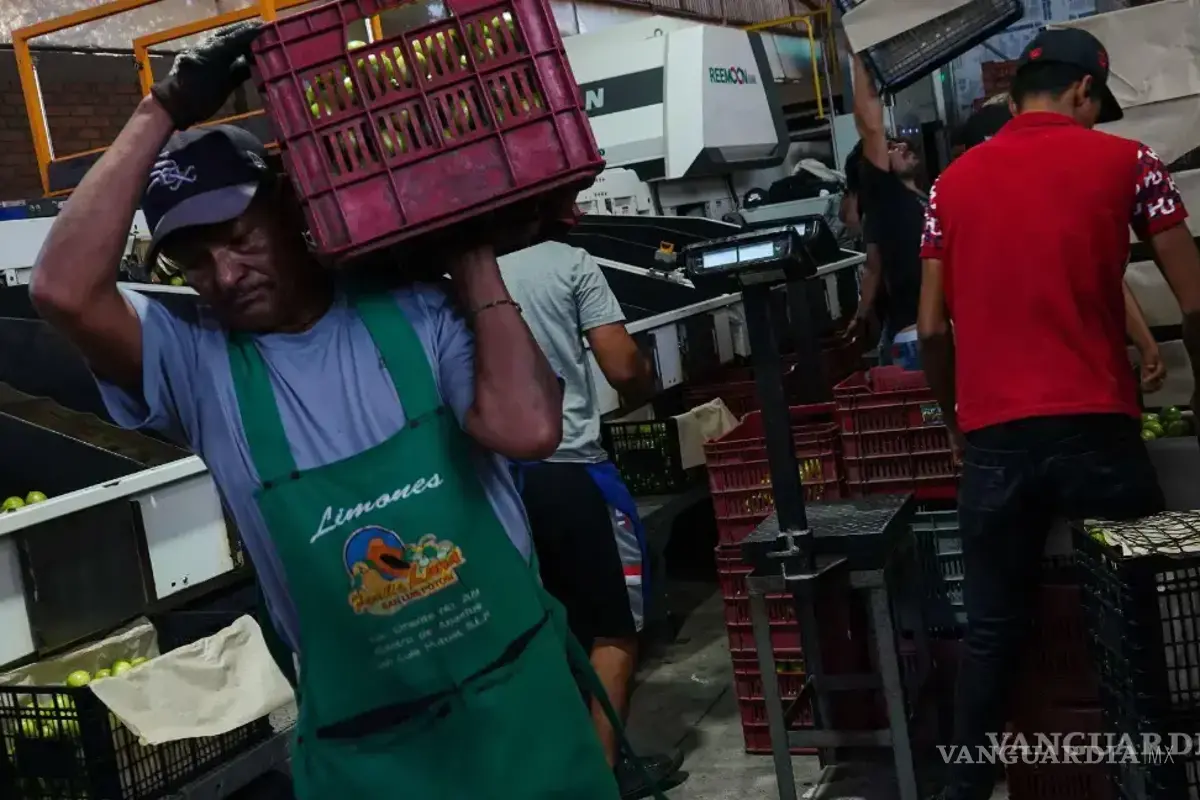 Coahuila: 28.2 por ciento de empleados en condiciones críticas de trabajo