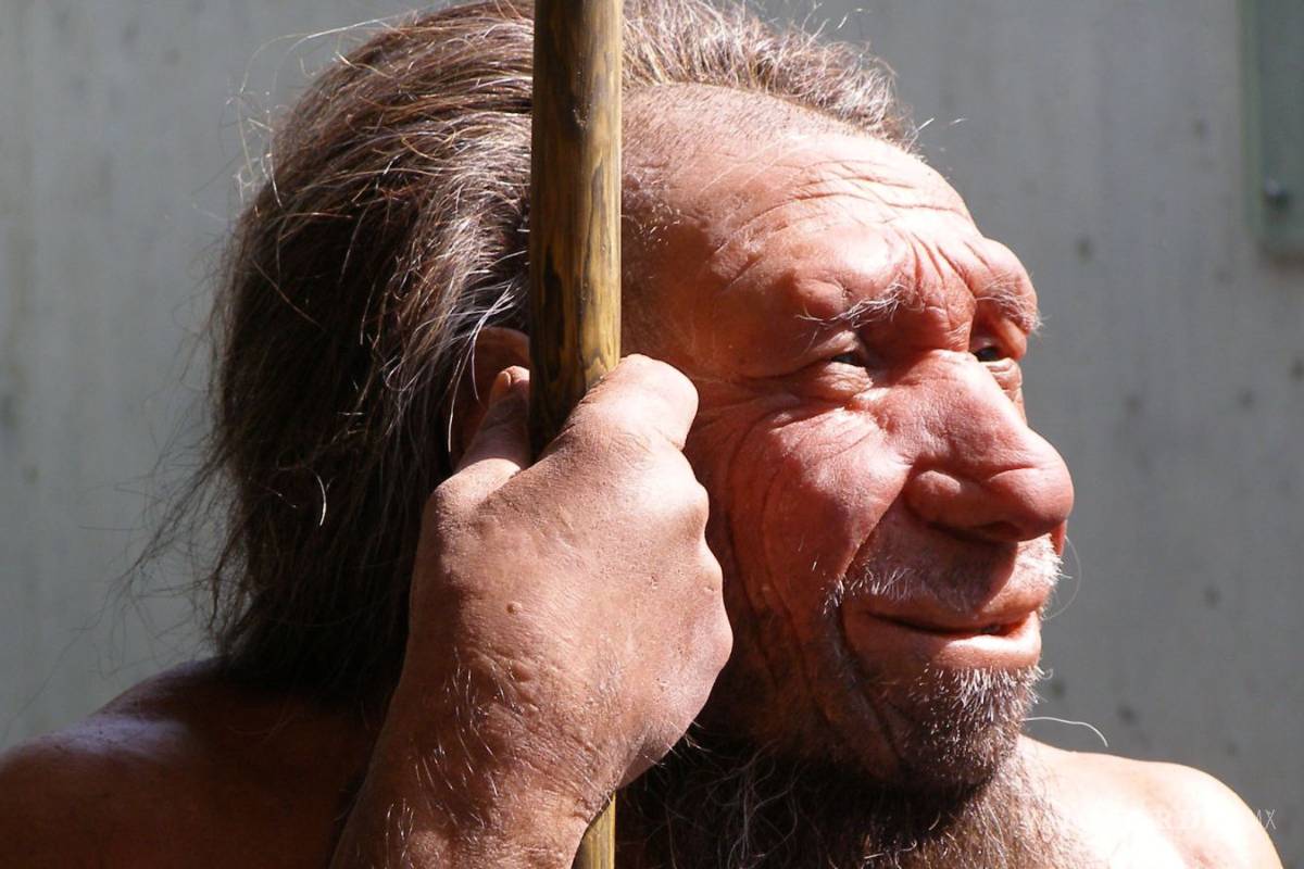Relato neandertal