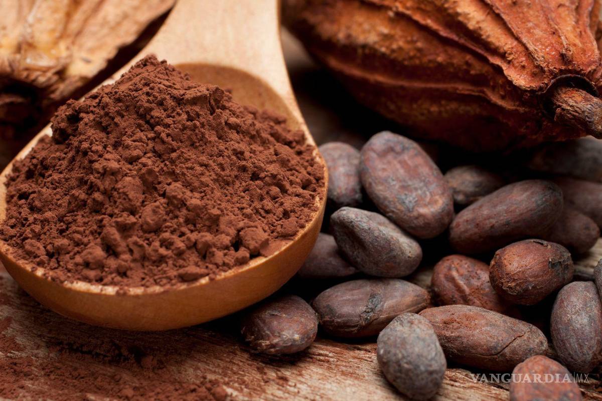 $!El grano de cacao encuentra las condiciones favorables para su desarrollo en el sur de México.