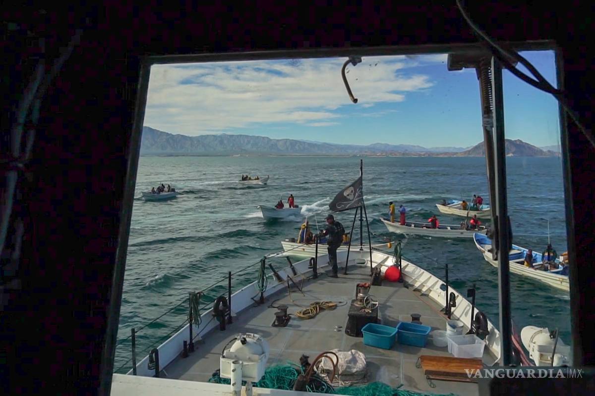 Pescadores rodean y atacan a la embarcación Farley Mowat del grupo ambientalista Sea Shepherd en México