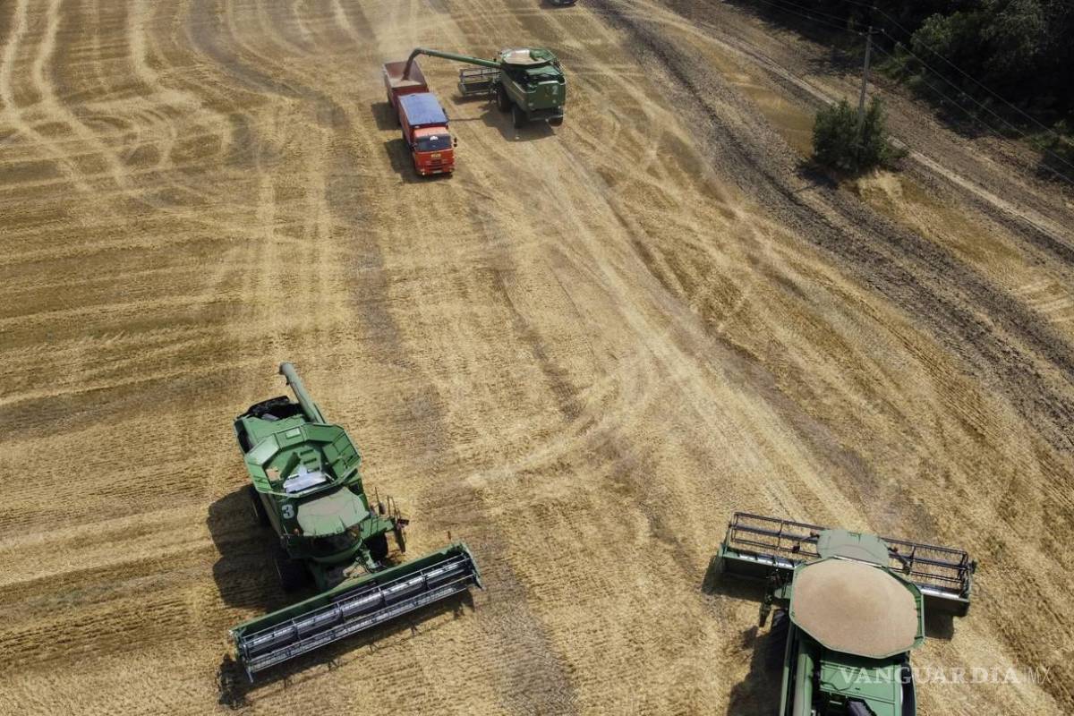 Crisis alimentaria, ¿ceder en sanciones contra Rusia?; definiciones ante desabasto de productos en el planeta