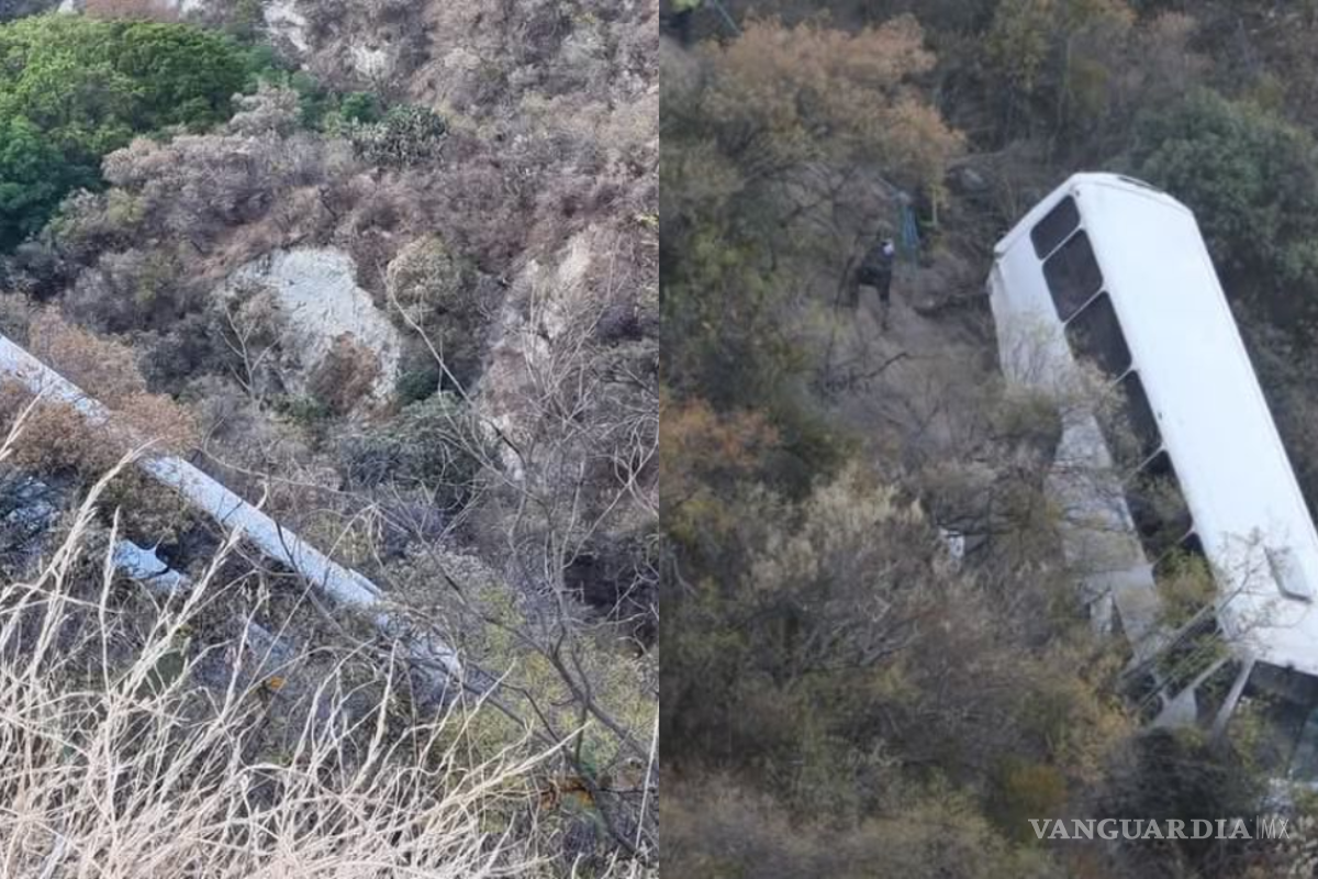 Cayeron por un barranco de al menos 30 metros de altura; operativos fueron a su rescate en Tlaxcala