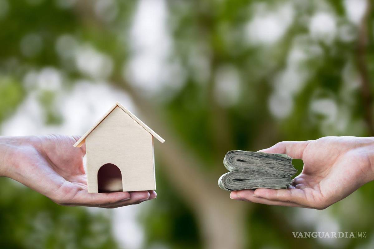 ‘Ni que fuera cuarto de hotel con vista al mar’; costos de rentas en Saltillo generan indignación en redes