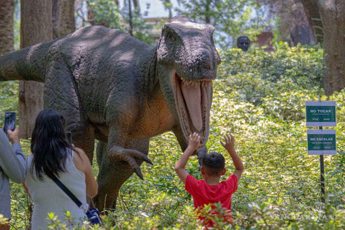 ¡Dinosaurios coahuilenses a Durango! Museo Bebeleche recibirá exposición del Museo del Desierto