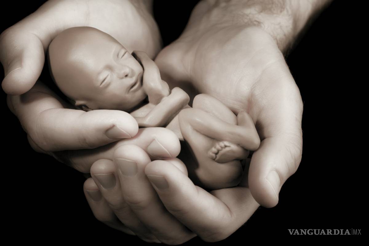 25.5 de casi 56 millones de abortos en el mundo no son seguros, señala la OMS