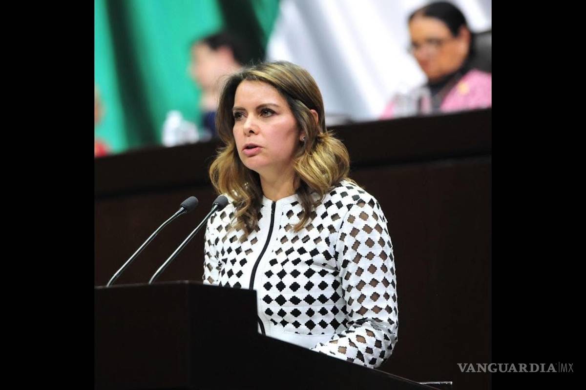 Aumentan delitos ante falta de la policía cibernética, denuncia PRI